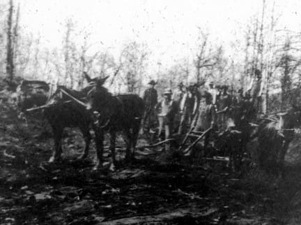 Work on the Crest of the Blue Ridge Highway between Altapass and Pineola began in 1913-1914.
